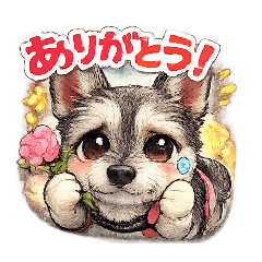 hamako_20260217111342