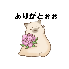 ^-^_20260216210543