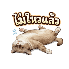 waraphorn siri_20260217001845