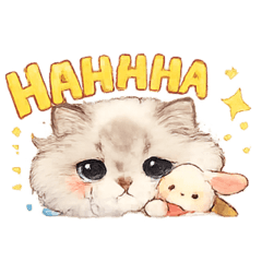 damdookdui_20260217003325