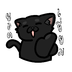 immindmelody_20260217084042