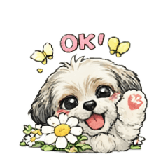 Nm_pj_20260217092717