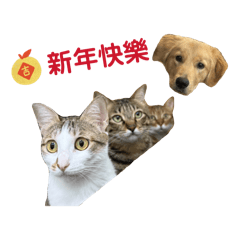 早餐店（四隻小可愛）