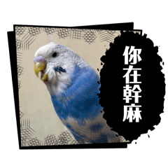 嘎嘎の貼圖！（2）