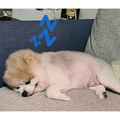 狐顏ㄉ小表情⌯>ᴗo⌯