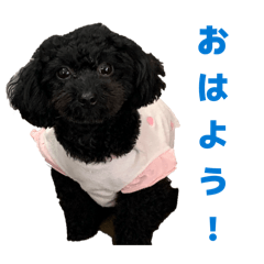 shigechan_20260216180550