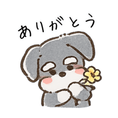 nandemo Schnauzer