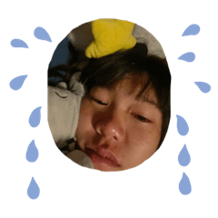 newpatttt_20260216222147