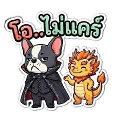 newnew_20260216222745