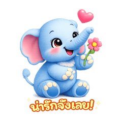 Sofree Shop_20260216223101