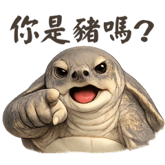 Pig-Nosed Turtle Is not a Pig