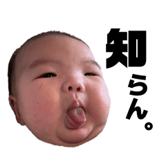 k_20260217084239