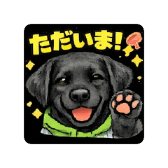 nambarabambam_20260216191747