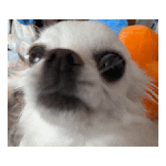 milkin_20260216162124