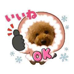 maruchan_20260217113119