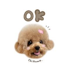 ちくわくん☆ブラウンmix