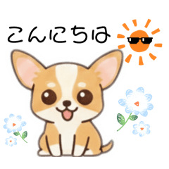 chocotto_20260216152204