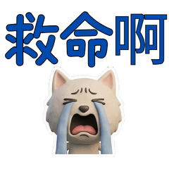 台湾語の北海道犬39