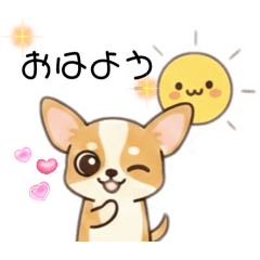 chocotto_20260216152345