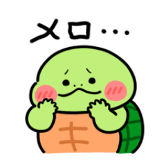 Turtles LIFE express feelings&emotions
