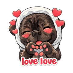 Rocky little Frenchie