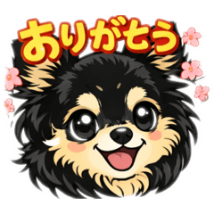 momo_20260216212904