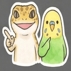Parakeet Ku-chan & Gecko Hyo-chan