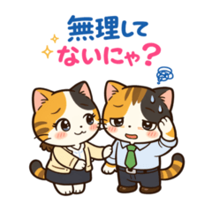 Office Worker Cat: Mikeru at Work