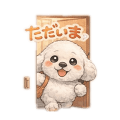 Fluffy Toy Poodle school ver.