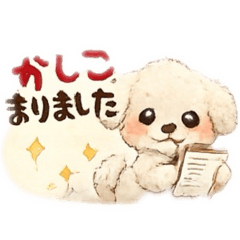 Fluffy toy poodle polite language