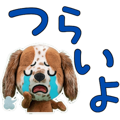 ตุ๊กตาสุนัขเซตเตอร์ 10