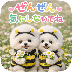 とびだす★ビションフリーゼのきづかい♡