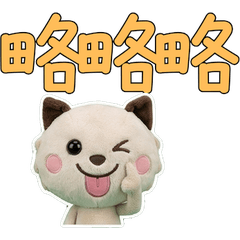 แมวสโนว์ชูไต้หวัน 34