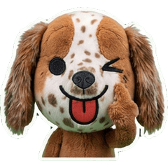 สุนัขเซตเตอร์ 8th