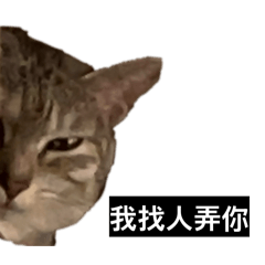 小路小寶與寶弟3.0