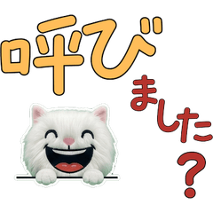 แมวเตอร์กิชแองโกราสุภาพ 12