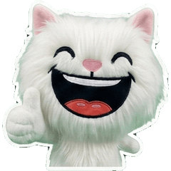 แมวเตอร์กิชแองโกรา 8th