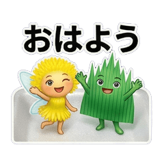 健気な脇役！刺身の菊＆バラン妖精