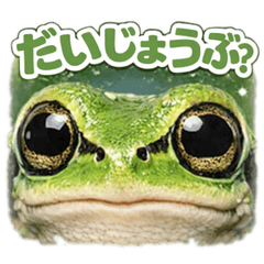 Photoreal Japanese Tree Frog Emoji Set