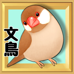 【シナモン文鳥】動く！幸せな文鳥の日常