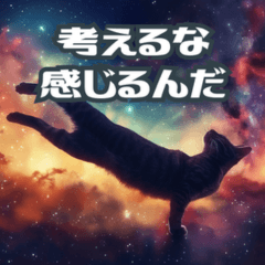 Feel First Cat Stickers