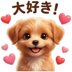 Mixed Dog Series Chihuahua-Poo