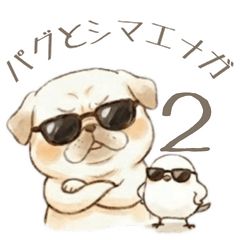 Pug and Long-tailed Tit 2