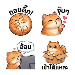 Wai cat