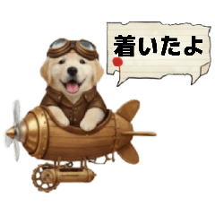 Fluffy Golden Retriever 1