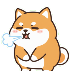 呆萌耍廢柴犬