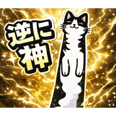 逆に全部うまくいく