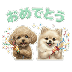 buchan_20260217015054
