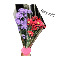 nana_pocoyo_20260217010652