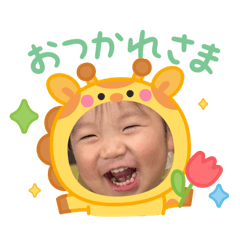 momo_20260217033911